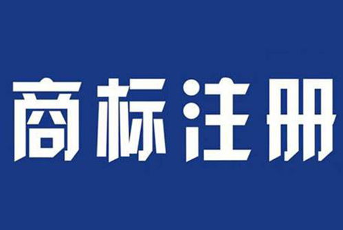 駐馬店地區(qū)食品注冊商標與計算機技術培訓概述